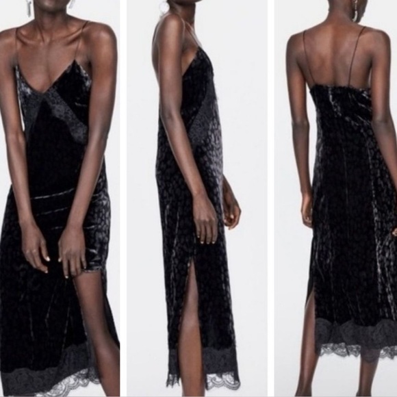 ZARA Velvet Animal Print Dress - Picture 7 of 8